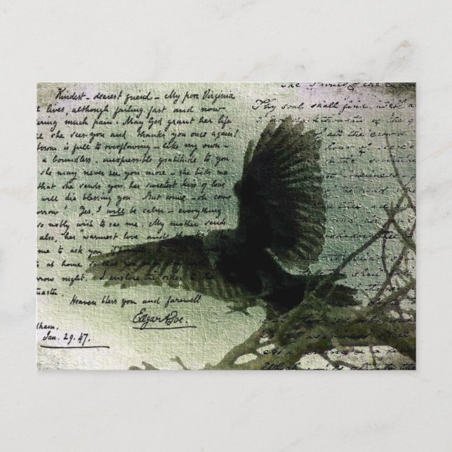 Cartão Postal Raven 3 (Frente)