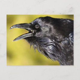 Cartão Postal Raven Calling