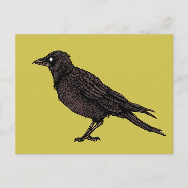Cartão Postal Raven Creepy Crow Bright Tinta Gótica (Frente)