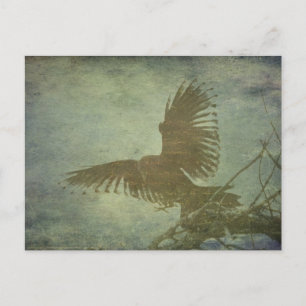 Cartão Postal Raven da Poesia de Poe