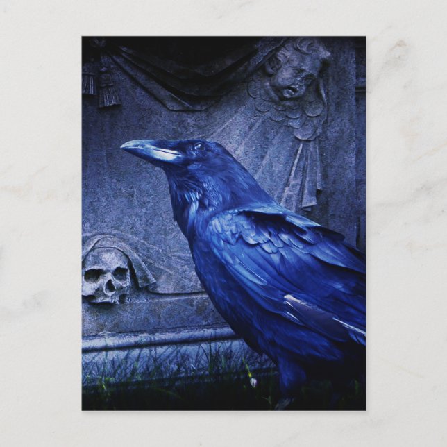 Cartão Postal Raven Em Tombstone (Frente)