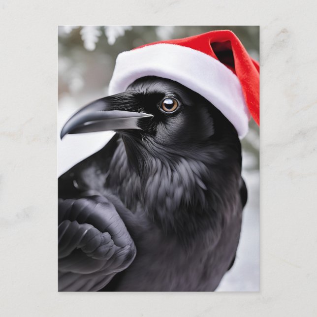 Cartão Postal Raven em um Chapéu Santa (Frente)