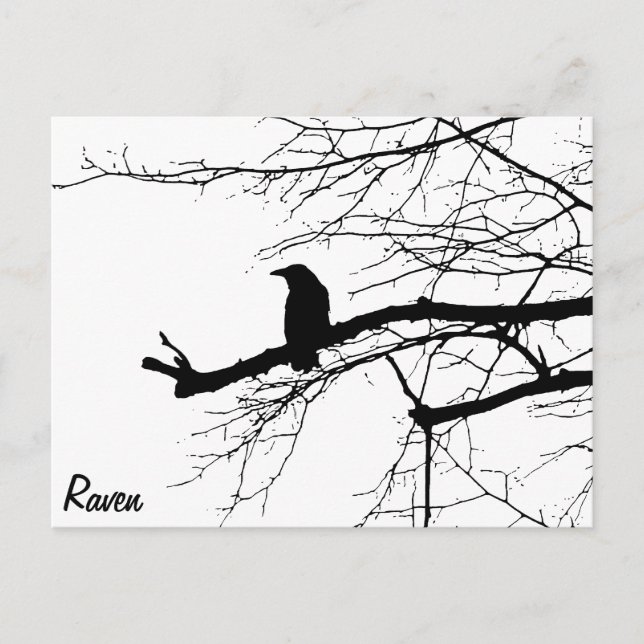 Cartão Postal Raven na árvore (Frente)