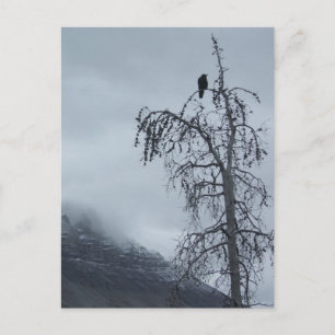 Cartão Postal Raven Solitário