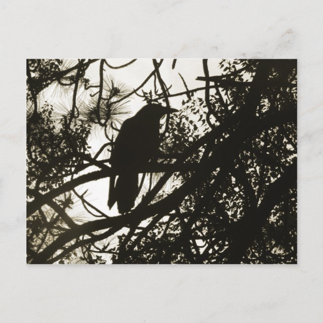 Cartão Postal Raven Steampunk (Frente)