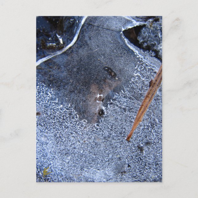 Cartão Postal Raven Totem, Pássaro Negro (Frente)