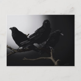 Cartão Postal Ravens assustadores no cartão-postal à luz da Lua