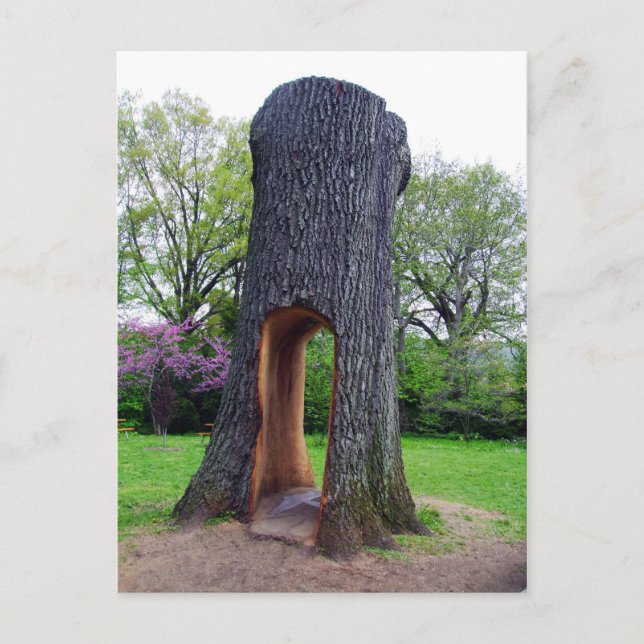 Cartão Postal Re-usar Cartão-Postal (Frente)