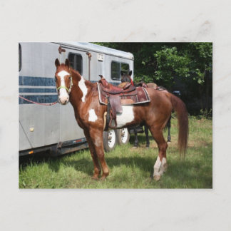 Cartão Postal "Ready for the ride"