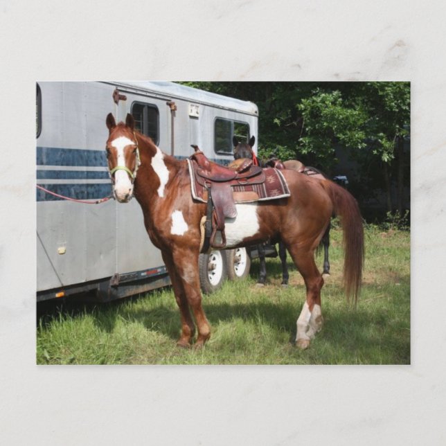 Cartão Postal "Ready for the ride" (Frente)