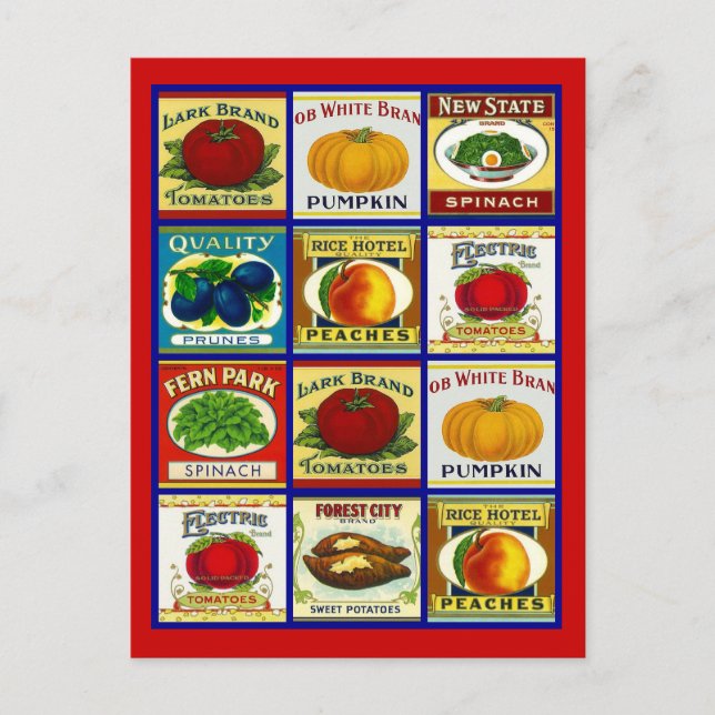 Cartão Postal Receber Design de Cartão-Postal Para Compartilhar  (Frente)