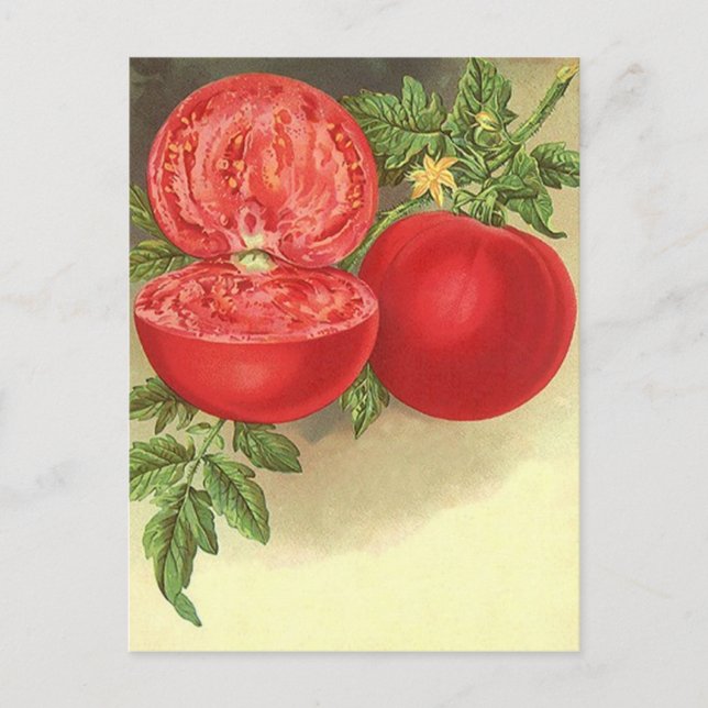 Cartão Postal Receber Design de Cartão-Postal Para Compartilhar  (Frente)