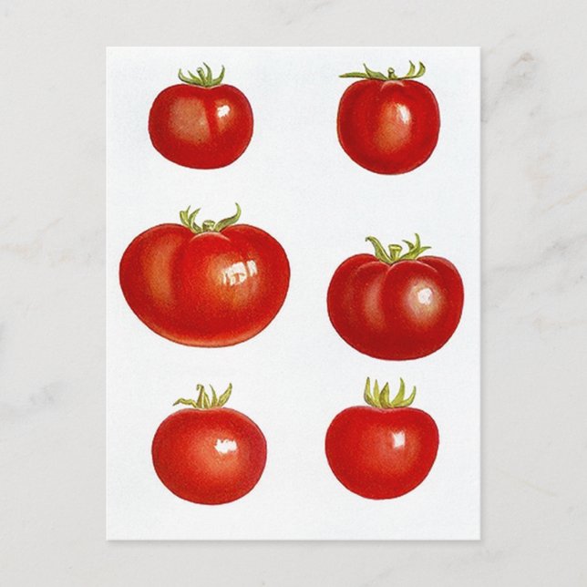 Cartão Postal Receber Design de Cartão-Postal Para Compartilhar  (Frente)