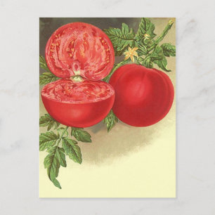 Cartão Postal Receber Design de Cartão-Postal Para Compartilhar