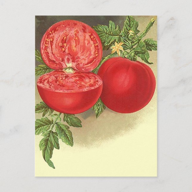 Cartão Postal Receber Design de Cartão-Postal Para Compartilhar  (Frente)