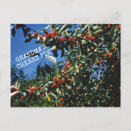 Cartão Postal Receita da tarte de cereja da vovó