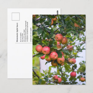 Cartão Postal Receita de Molho de Maçã