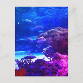 Cartão Postal Recife de Coral Personalizado