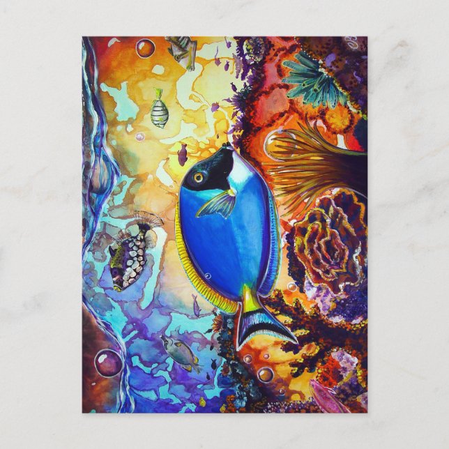 Cartão Postal Recife de Iluminismo da Ilha do CBjork (Frente)