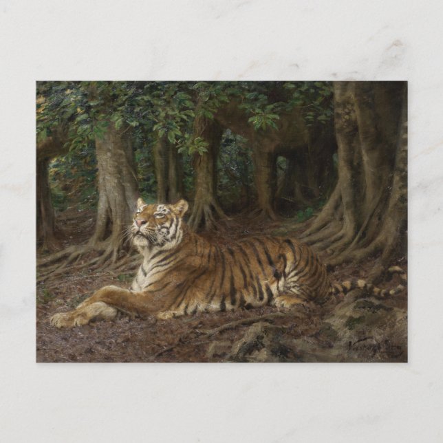 Cartão Postal Reclinando Tigre por Geza Vastagh (Frente)
