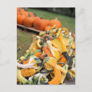 Cartão Postal Recompensa