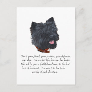 Cartão Postal Recordação de Terrier Cairn Preto - Fêmea