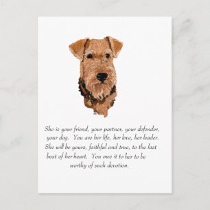 Cartão Postal Recuerdo de Airedale, galês, Lakeland Terrier