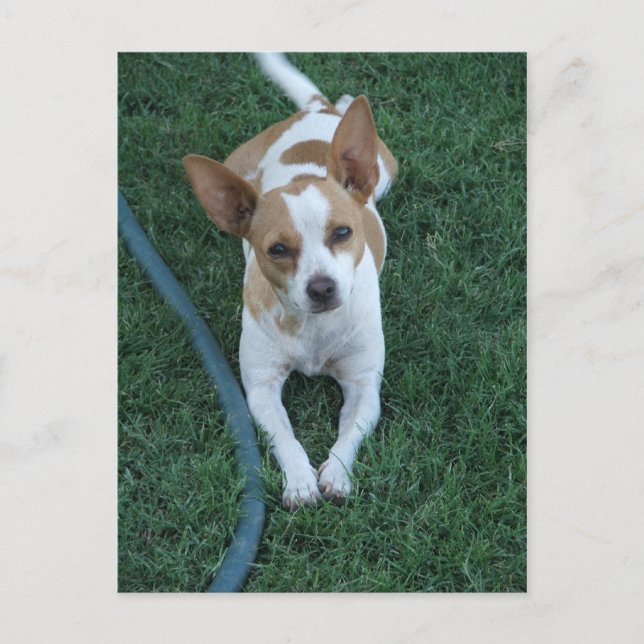 Cartão Postal Recuperado (Frente)