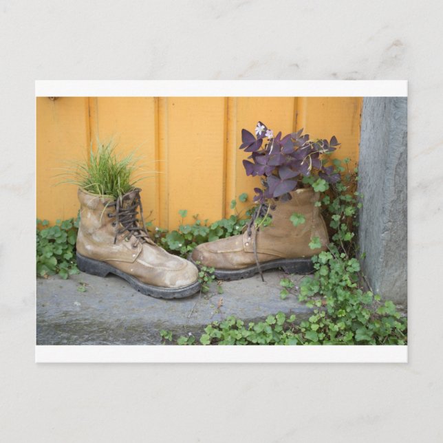 Cartão Postal Recycled Boots Make Good Planters (Frente)