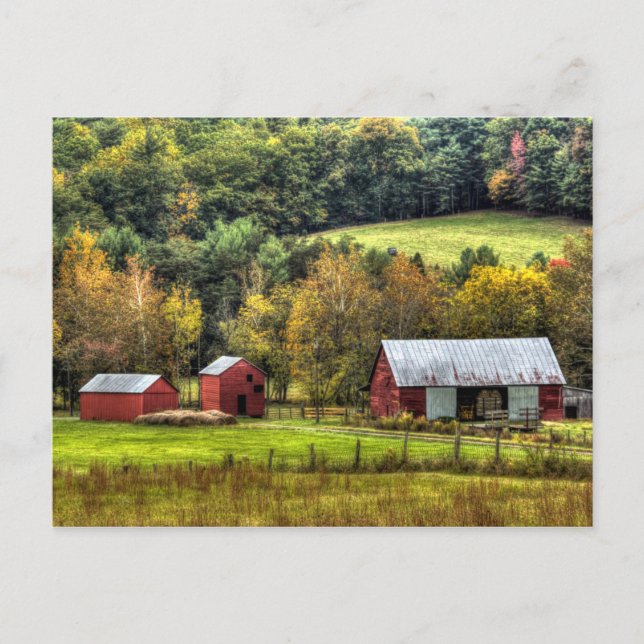 Cartão Postal Red Barns Autumn Fall Virginia Countryside (Frente)