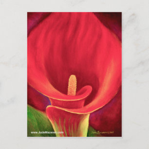 Cartão Postal Red Cala Lily - Arte Tropical Flor - Múltipla