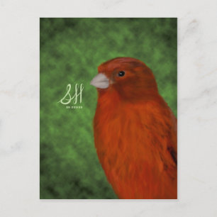 Cartão Postal Red Canary