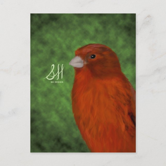 Cartão Postal Red Canary (Frente)