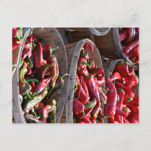 Cartão Postal Red Chili