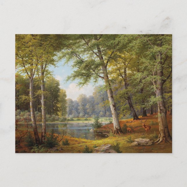 Cartão Postal Red Deer by the Forest Pond (Frente)