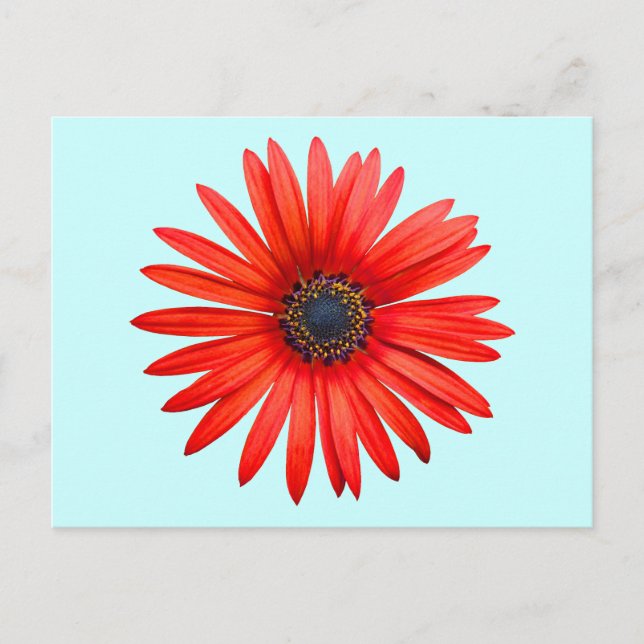 Cartão Postal Red Devil (Frente)