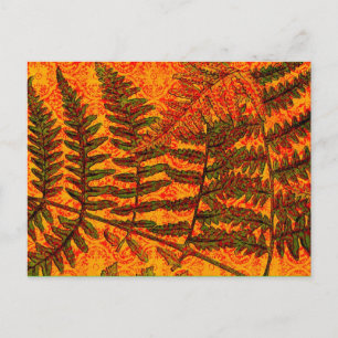 Cartão postal Red Fern