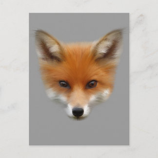 Cartão postal Red Fox Cub