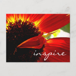 Cartão Postal Red Gerbera Daisy Flower Inspire Script Moderno