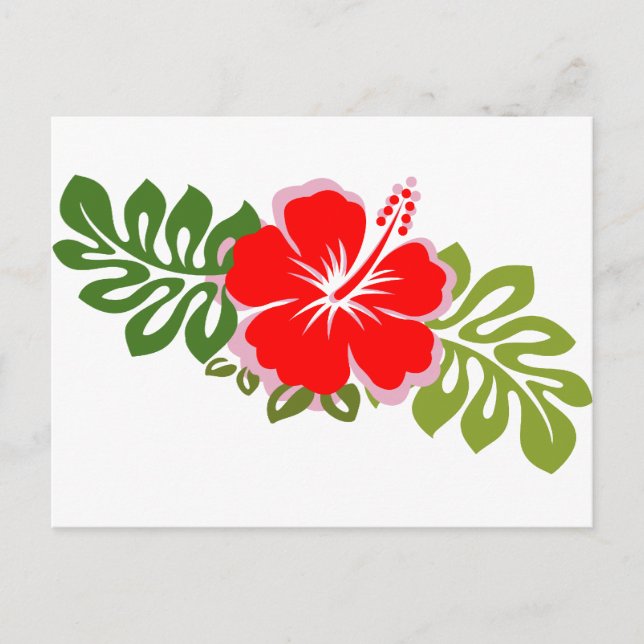 Cartão Postal Red Hibiscus e Folhas (Frente)