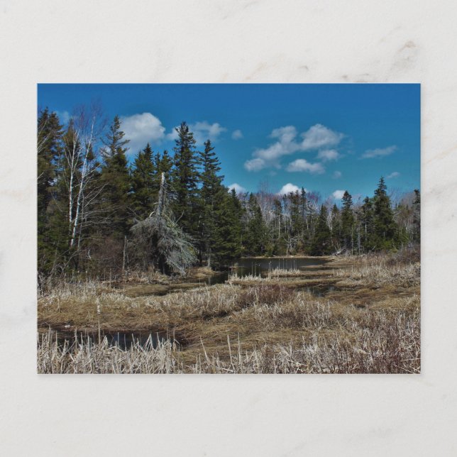 Cartão Postal Red Island Pond (Frente)