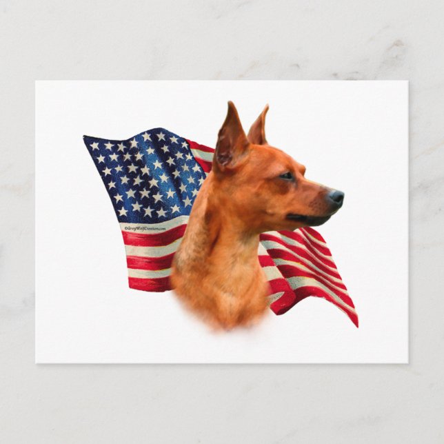 Cartão Postal Red Miniature Pinscher American Flag; Min Pin Flag (Frente)