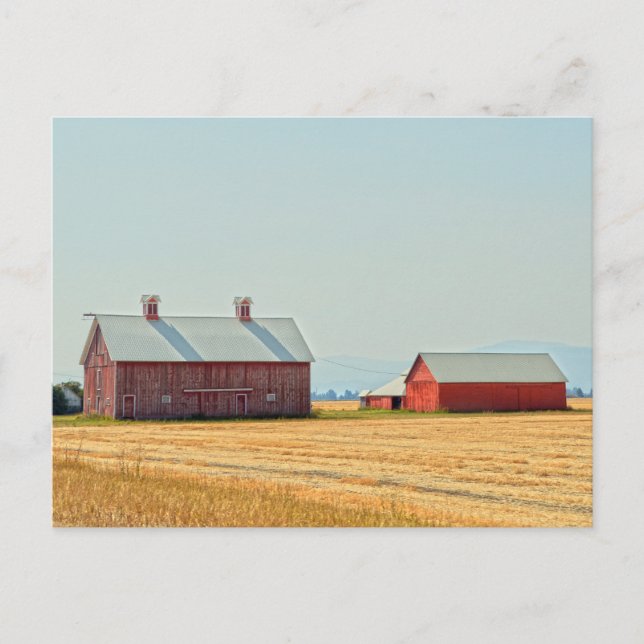 Cartão Postal Red Montana Barns (Frente)