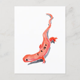Cartão Postal Red Newt