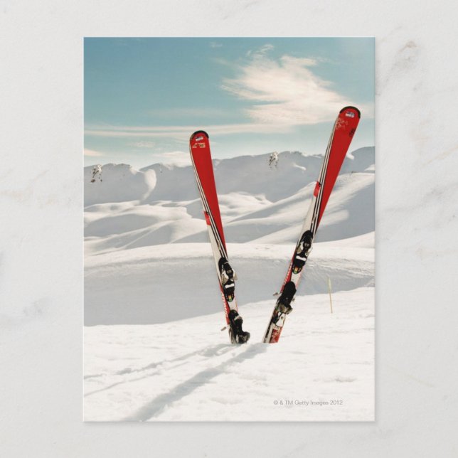 Cartão Postal Red pair of ski standing in snow (Frente)