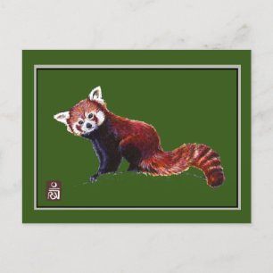 Cartão Postal Red Panda