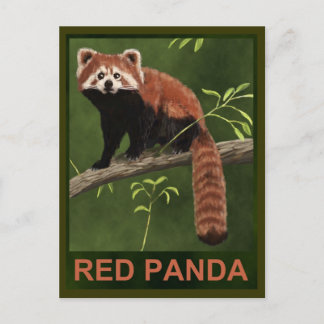 Cartão Postal Red Panda