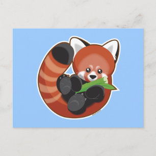 Cartão Postal Red Panda
