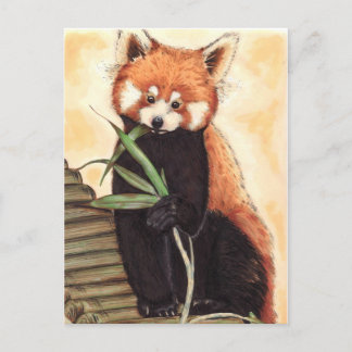 Cartão Postal Red Panda Nom