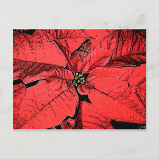 Cartão Postal Red Poinsettia